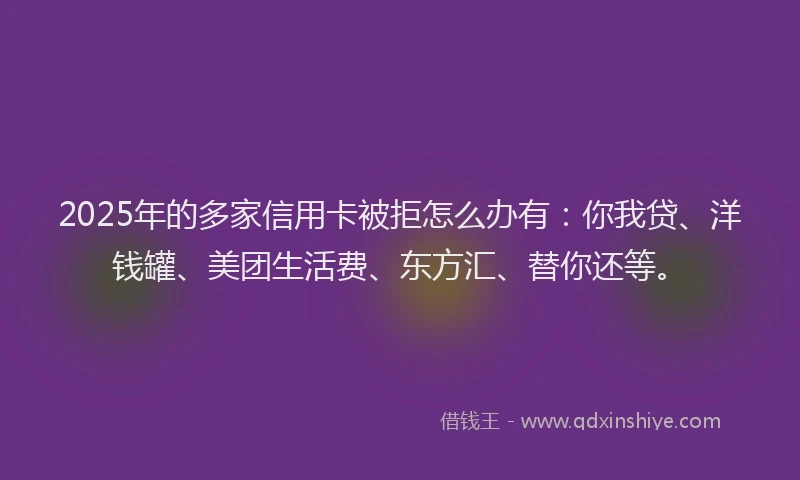 2025年的多家信用卡被拒怎么办有：你我贷、洋钱罐、美团生活费、东方汇、替你还等。