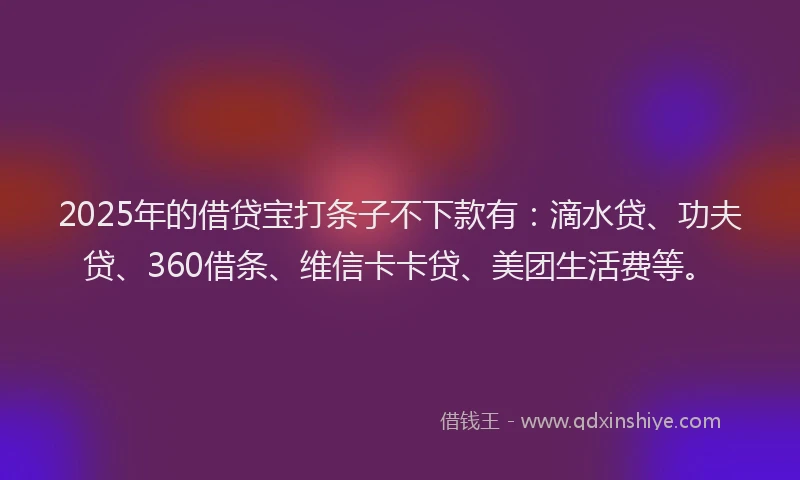 2025年的借贷宝打条子不下款有：滴水贷、功夫贷、360借条、维信卡卡贷、美团生活费等。