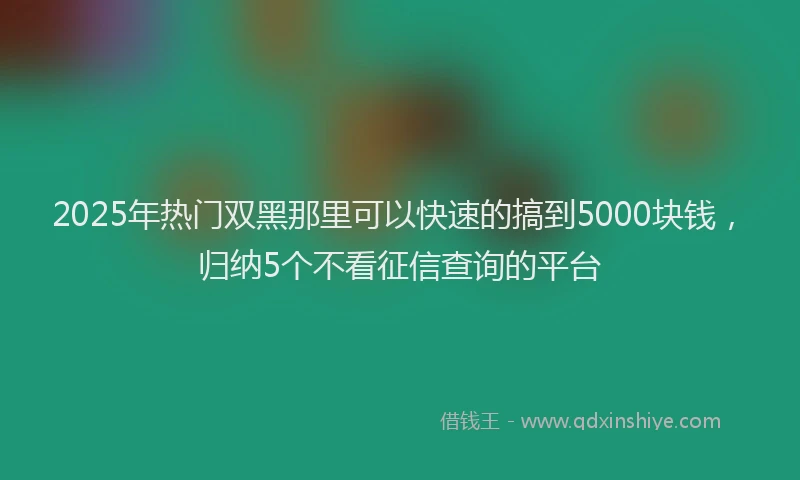 2025年热门双黑那里可以快速的搞到5000块钱，归纳5个不看征信查询的平台