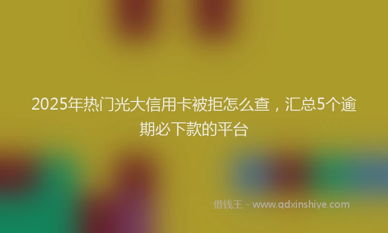2025年热门光大信用卡被拒怎么查，汇总5个逾期必下款的平台