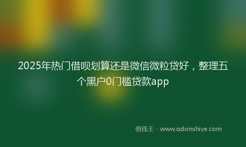 2025年热门借呗划算还是微信微粒贷好，整理五个黑户0门槛贷款app