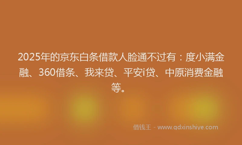 2025年的京东白条借款人脸通不过有：度小满金融、360借条、我来贷、平安i贷、中原消费金融等。