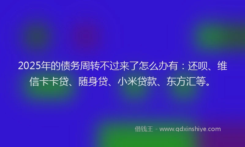 2025年的债务周转不过来了怎么办有：还呗、维信卡卡贷、随身贷、小米贷款、东方汇等。