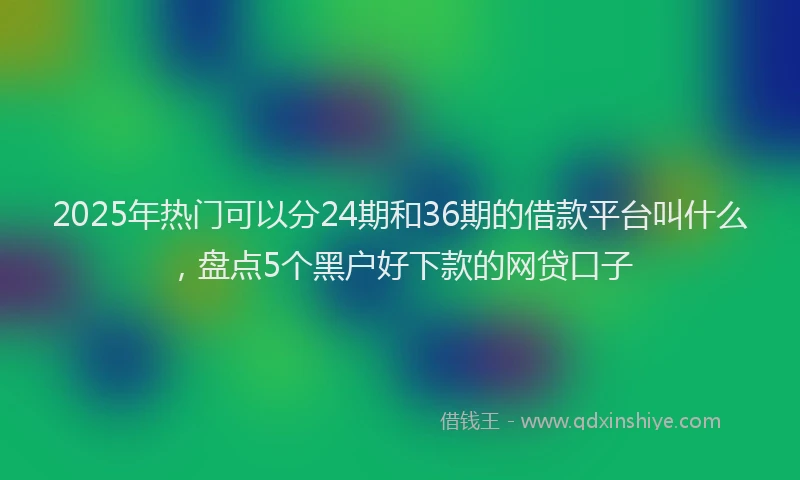 2025年热门可以分24期和36期的借款平台叫什么，盘点5个黑户好下款的网贷口子