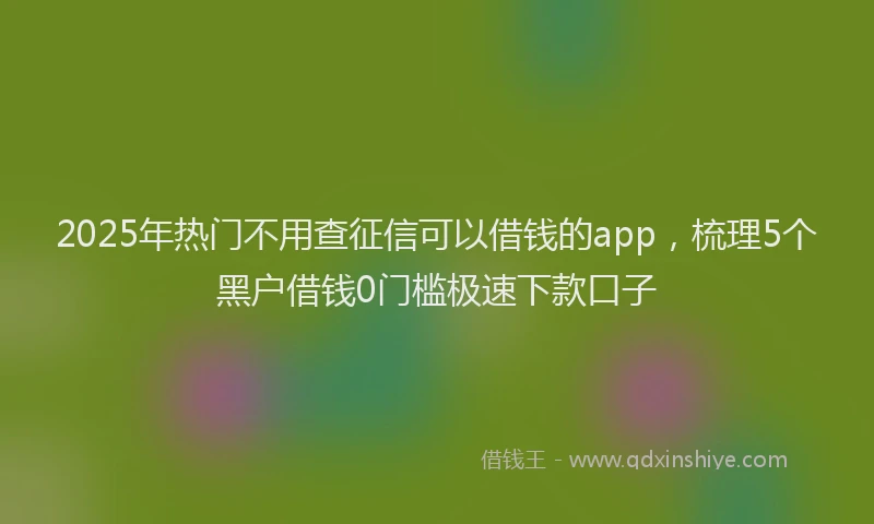2025年热门不用查征信可以借钱的app，梳理5个黑户借钱0门槛极速下款口子
