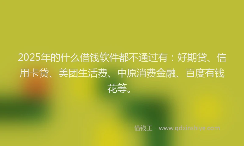 2025年的什么借钱软件都不通过有：好期贷、信用卡贷、美团生活费、中原消费金融、百度有钱花等。