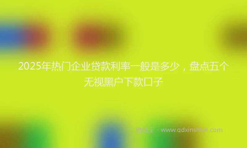 2025年热门企业贷款利率一般是多少，盘点五个无视黑户下款口子