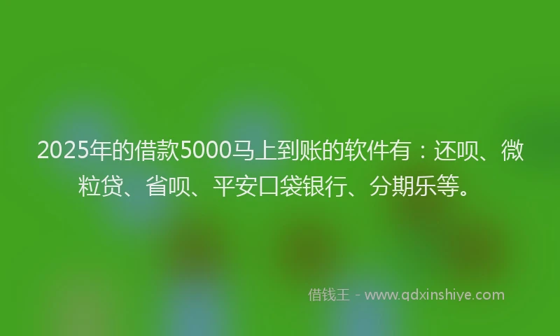 2025年的借款5000马上到账的软件有：还呗、微粒贷、省呗、平安口袋银行、分期乐等。