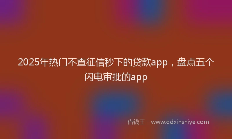 2025年热门不查征信秒下的贷款app，盘点五个闪电审批的app