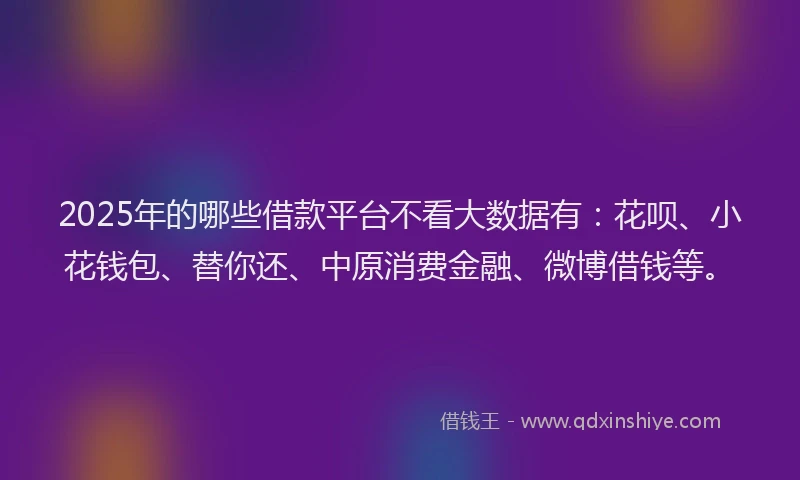 2025年的哪些借款平台不看大数据有：花呗、小花钱包、替你还、中原消费金融、微博借钱等。