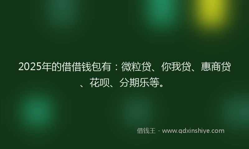 2025年的借借钱包有：微粒贷、你我贷、惠商贷、花呗、分期乐等。