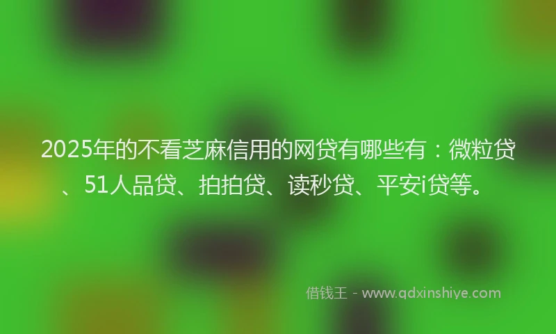 2025年的不看芝麻信用的网贷有哪些有：微粒贷、51人品贷、拍拍贷、读秒贷、平安i贷等。