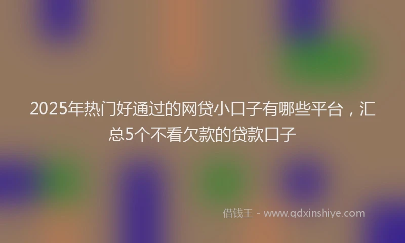 2025年热门好通过的网贷小口子有哪些平台，汇总5个不看欠款的贷款口子