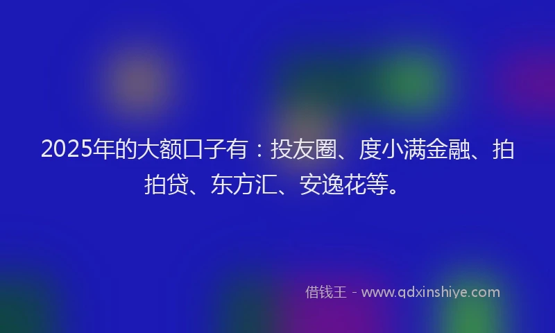 2025年的大额口子有：投友圈、度小满金融、拍拍贷、东方汇、安逸花等。