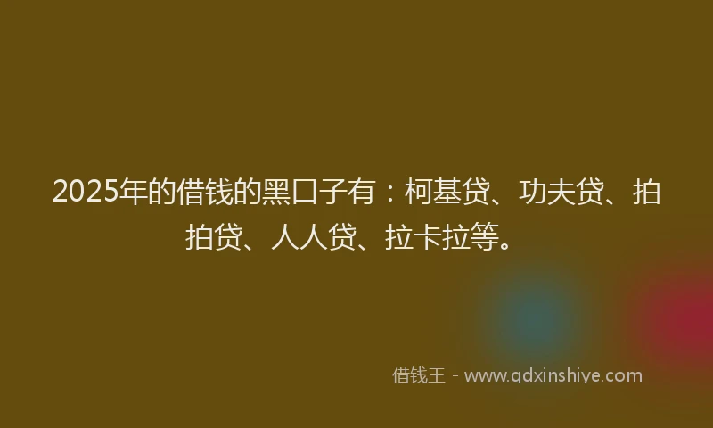 2025年的借钱的黑口子有：柯基贷、功夫贷、拍拍贷、人人贷、拉卡拉等。