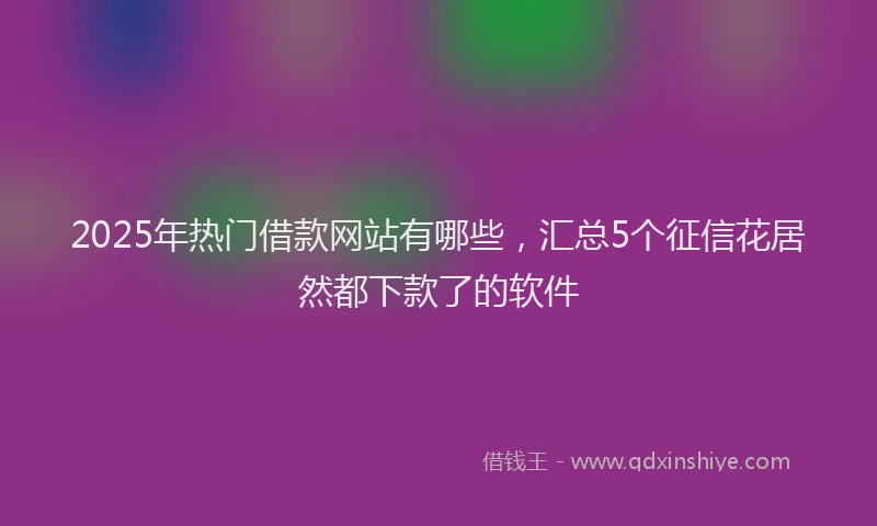 2025年热门借款网站有哪些，汇总5个征信花居然都下款了的软件