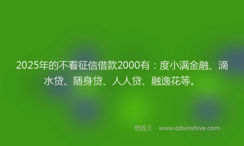 2025年的不看征信借款2000有：度小满金融、滴水贷、随身贷、人人贷、融逸花等。