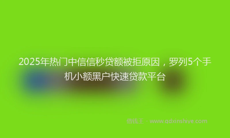 2025年热门中信信秒贷额被拒原因，罗列5个手机小额黑户快速贷款平台