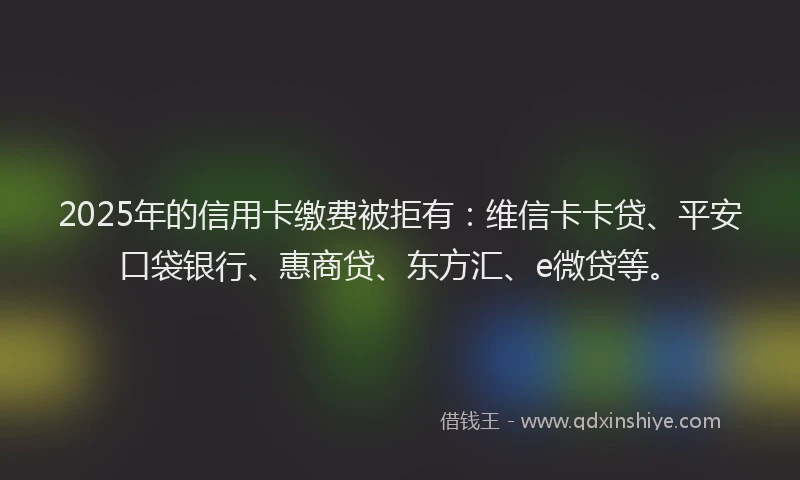 2025年的信用卡缴费被拒有：维信卡卡贷、平安口袋银行、惠商贷、东方汇、e微贷等。