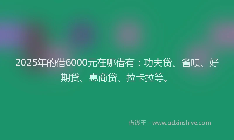2025年的借6000元在哪借有：功夫贷、省呗、好期贷、惠商贷、拉卡拉等。