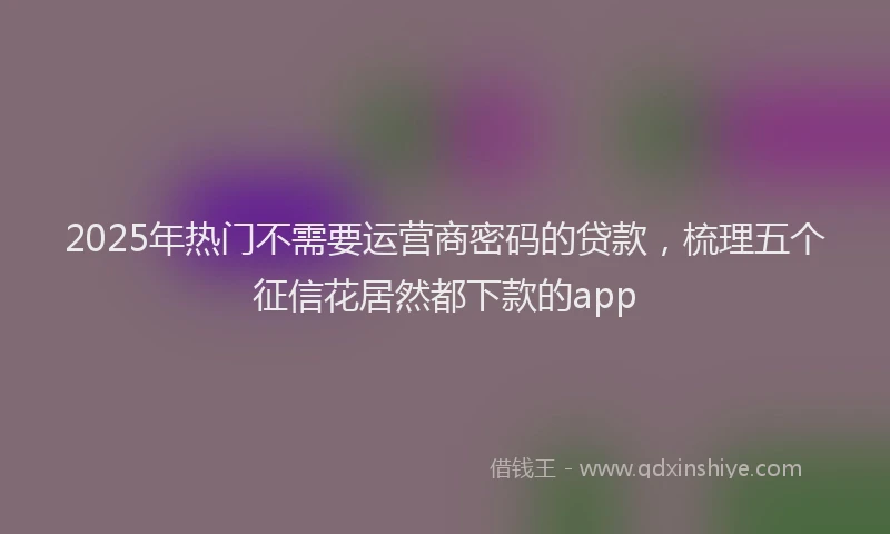 2025年热门不需要运营商密码的贷款，梳理五个征信花居然都下款的app