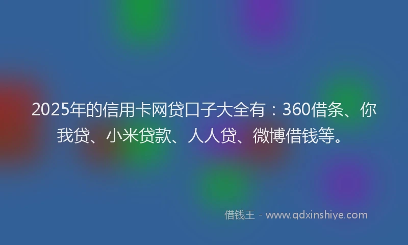 2025年的信用卡网贷口子大全有：360借条、你我贷、小米贷款、人人贷、微博借钱等。