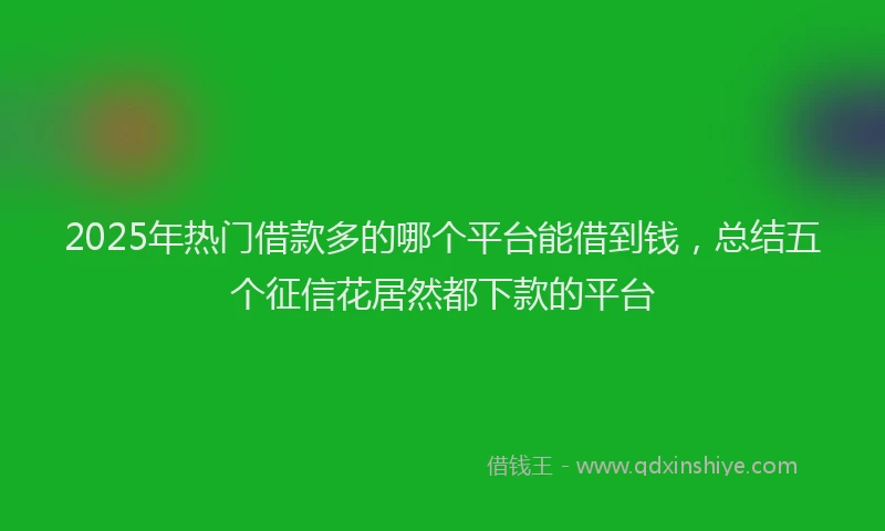 2025年热门借款多的哪个平台能借到钱，总结五个征信花居然都下款的平台