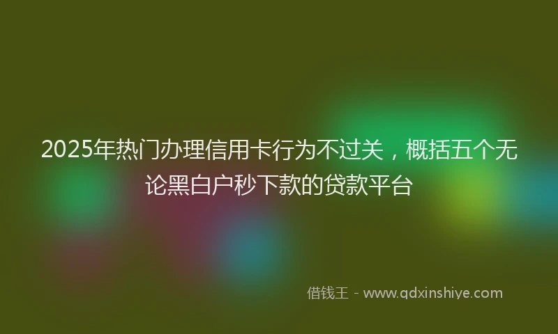 2025年热门办理信用卡行为不过关，概括五个无论黑白户秒下款的贷款平台
