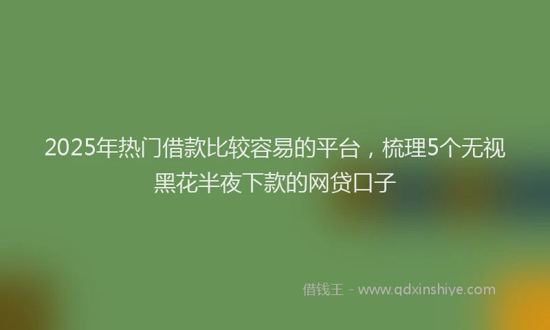 2025年热门借款比较容易的平台，梳理5个无视黑花半夜下款的网贷口子