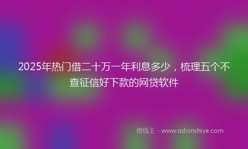 2025年热门借二十万一年利息多少，梳理五个不查征信好下款的网贷软件