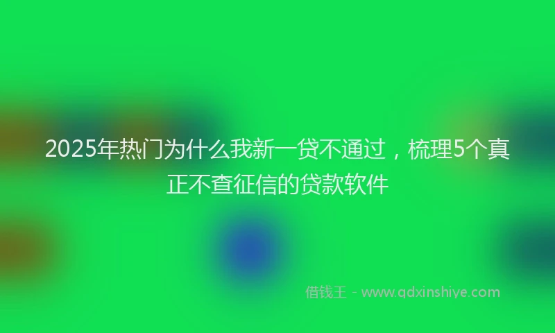 2025年热门为什么我新一贷不通过，梳理5个真正不查征信的贷款软件