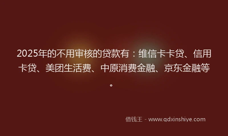 2025年的不用审核的贷款有：维信卡卡贷、信用卡贷、美团生活费、中原消费金融、京东金融等。