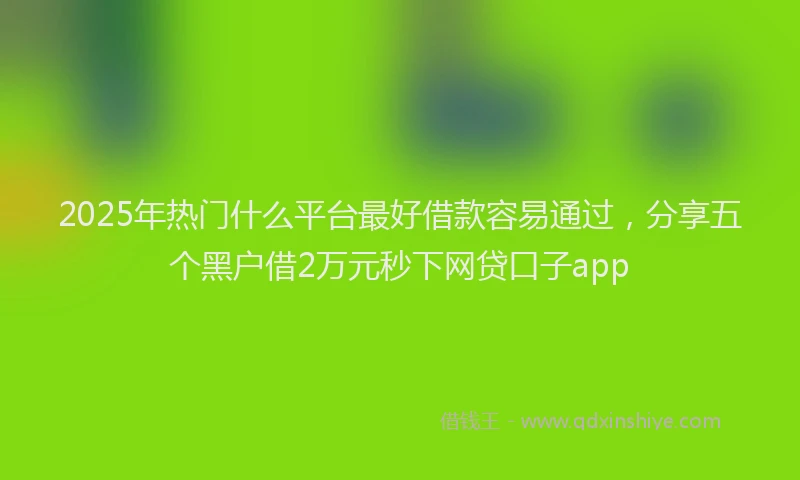 2025年热门什么平台最好借款容易通过，分享五个黑户借2万元秒下网贷口子app