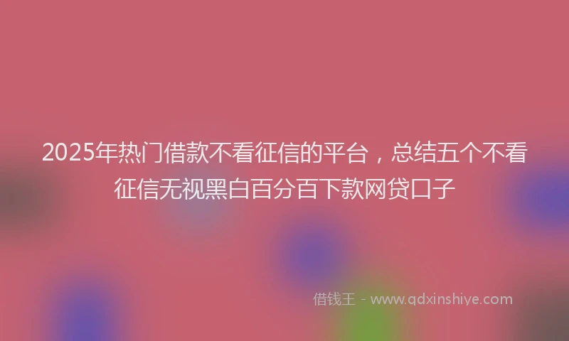2025年热门借款不看征信的平台，总结五个不看征信无视黑白百分百下款网贷口子