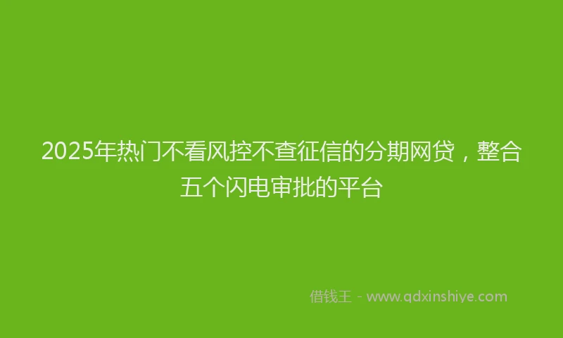 2025年热门不看风控不查征信的分期网贷，整合五个闪电审批的平台
