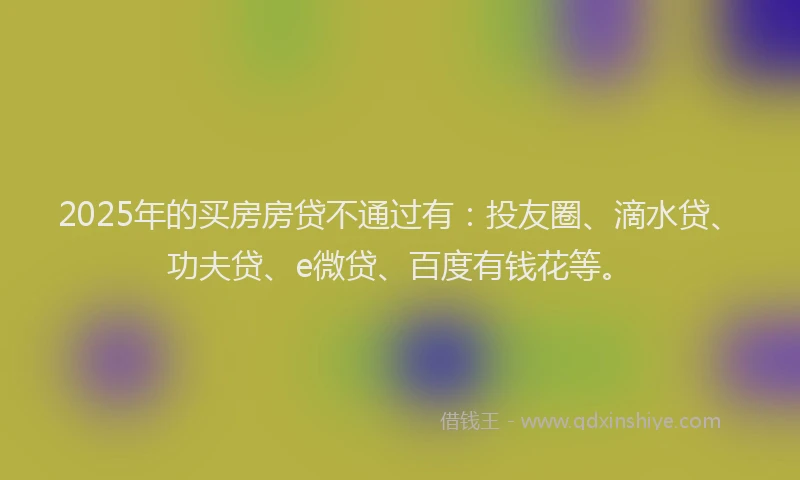 2025年的买房房贷不通过有：投友圈、滴水贷、功夫贷、e微贷、百度有钱花等。