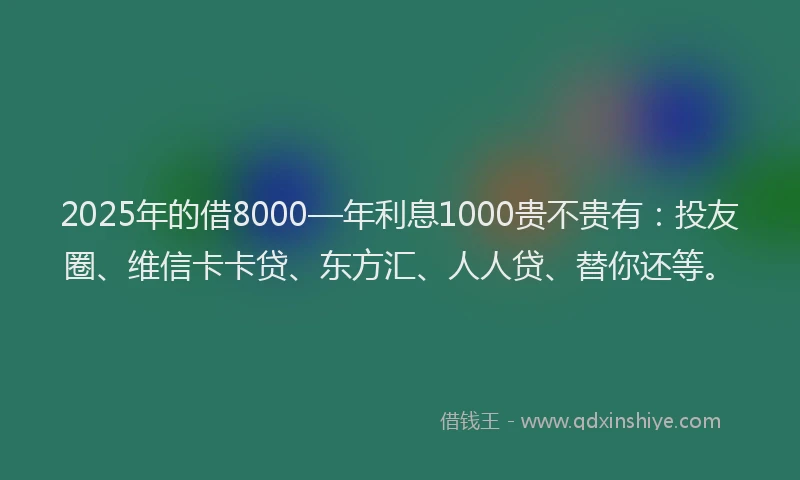 2025年的借8000—年利息1000贵不贵有：投友圈、维信卡卡贷、东方汇、人人贷、替你还等。