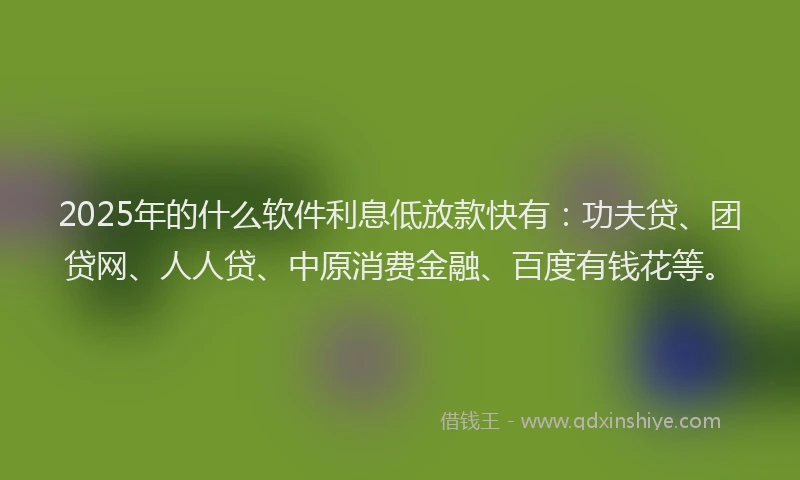 2025年的什么软件利息低放款快有：功夫贷、团贷网、人人贷、中原消费金融、百度有钱花等。