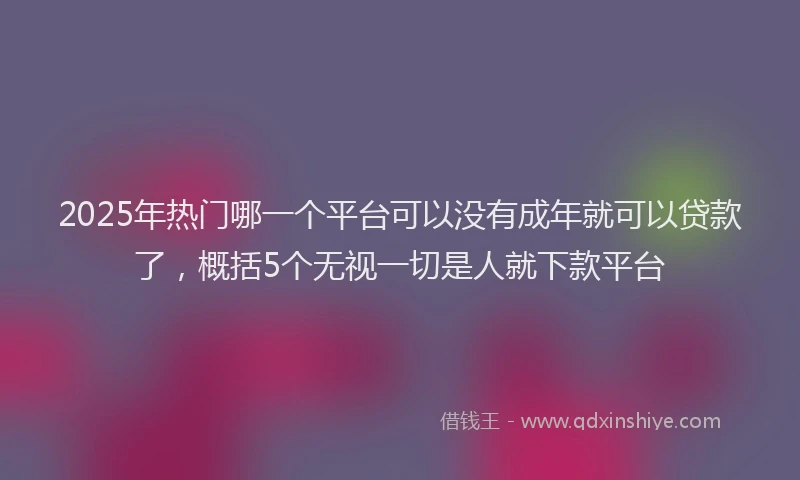 2025年热门哪一个平台可以没有成年就可以贷款了，概括5个无视一切是人就下款平台