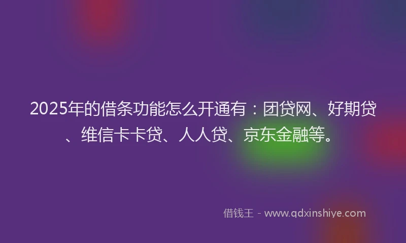 2025年的借条功能怎么开通有：团贷网、好期贷、维信卡卡贷、人人贷、京东金融等。