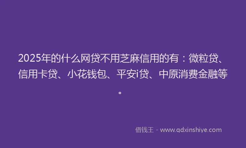 2025年的什么网贷不用芝麻信用的有：微粒贷、信用卡贷、小花钱包、平安i贷、中原消费金融等。