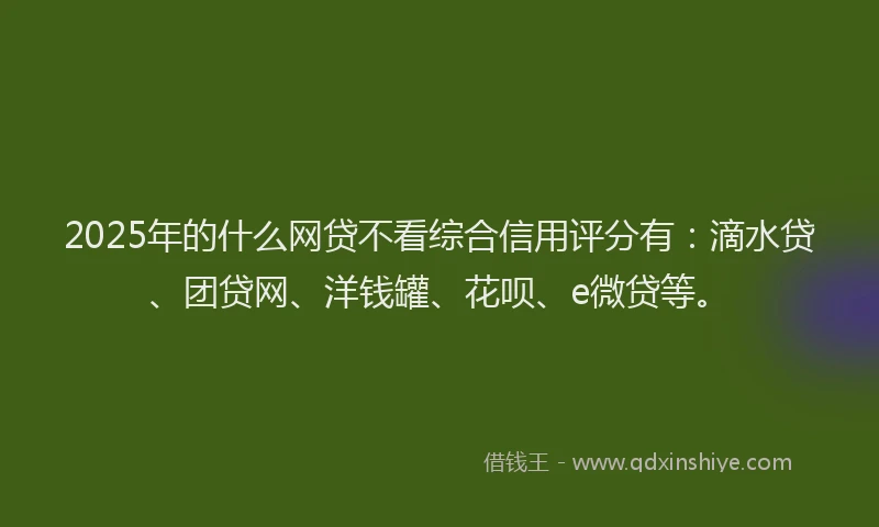 2025年的什么网贷不看综合信用评分有：滴水贷、团贷网、洋钱罐、花呗、e微贷等。