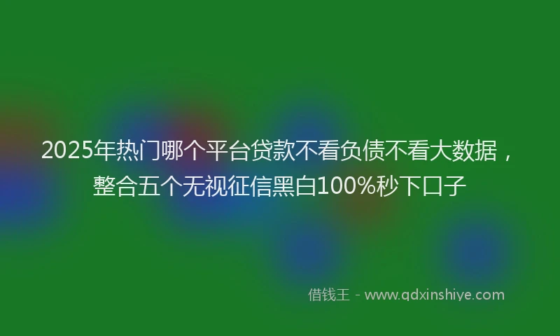 2025年热门哪个平台贷款不看负债不看大数据，整合五个无视征信黑白100%秒下口子