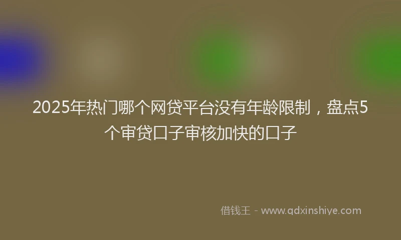2025年热门哪个网贷平台没有年龄限制，盘点5个审贷口子审核加快的口子