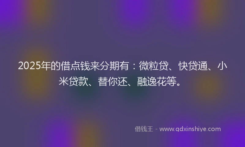 2025年的借点钱来分期有：微粒贷、快贷通、小米贷款、替你还、融逸花等。