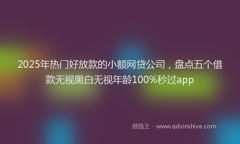 2025年热门好放款的小额网贷公司，盘点五个借款无视黑白无视年龄100%秒过app