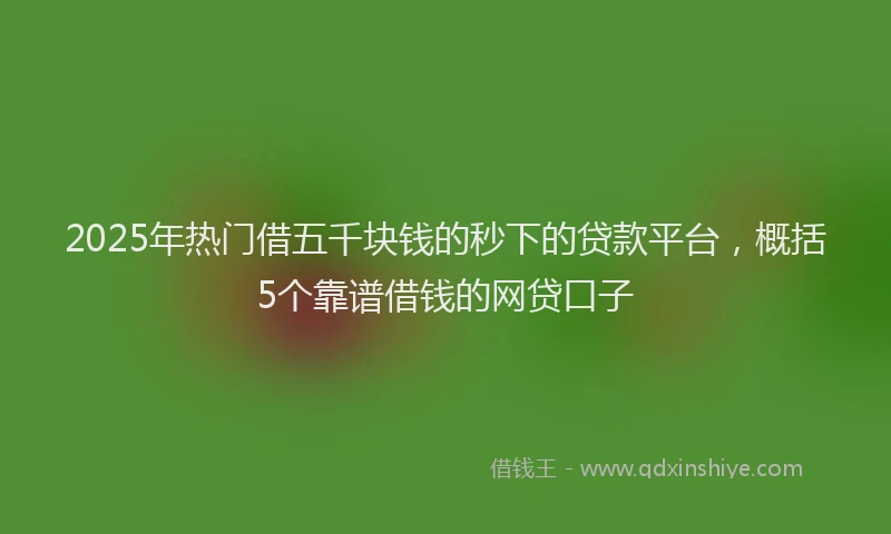 2025年热门借五千块钱的秒下的贷款平台，概括5个靠谱借钱的网贷口子