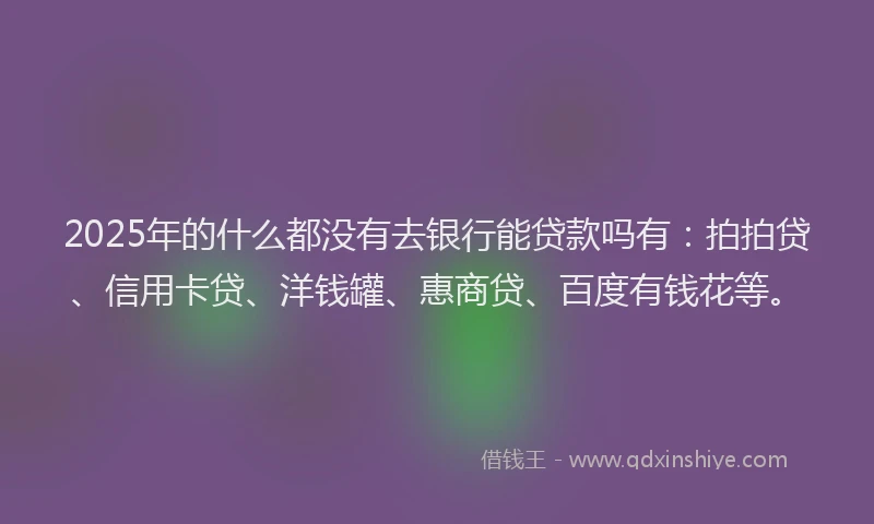 2025年的什么都没有去银行能贷款吗有：拍拍贷、信用卡贷、洋钱罐、惠商贷、百度有钱花等。