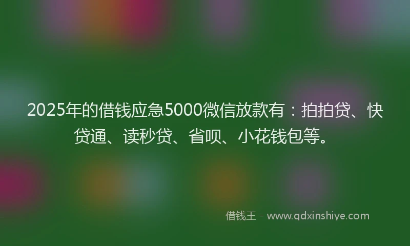 2025年的借钱应急5000微信放款有：拍拍贷、快贷通、读秒贷、省呗、小花钱包等。