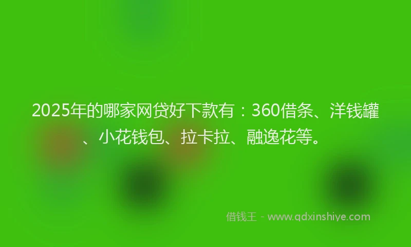 2025年的哪家网贷好下款有：360借条、洋钱罐、小花钱包、拉卡拉、融逸花等。
